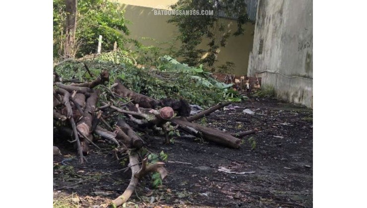 Đất Vuông SHR Full TC HXH 219m2 – Đặng Thúc Vịnh Hóc Môn SS